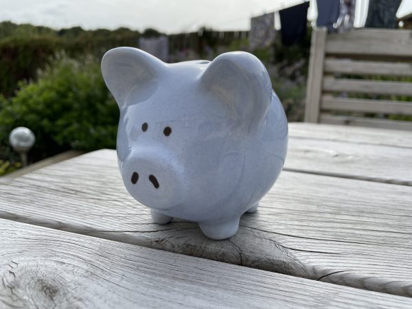 Hand Painted, Blue, Piggy Bank, Small, Ceramic, Pottery, Gifts for Friends and Family, Traditional