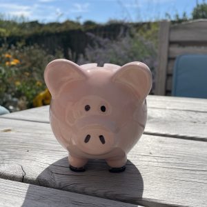 Hand Painted, Light Pink, Piggy Bank, Small, Ceramic, Pottery, Gifts for Children, Traditional