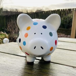 Multicoloured Spot Piggy Bank. Hand Painted Piggy Bank, Medium, Ceramic Pottery Shop, Gifts for Children