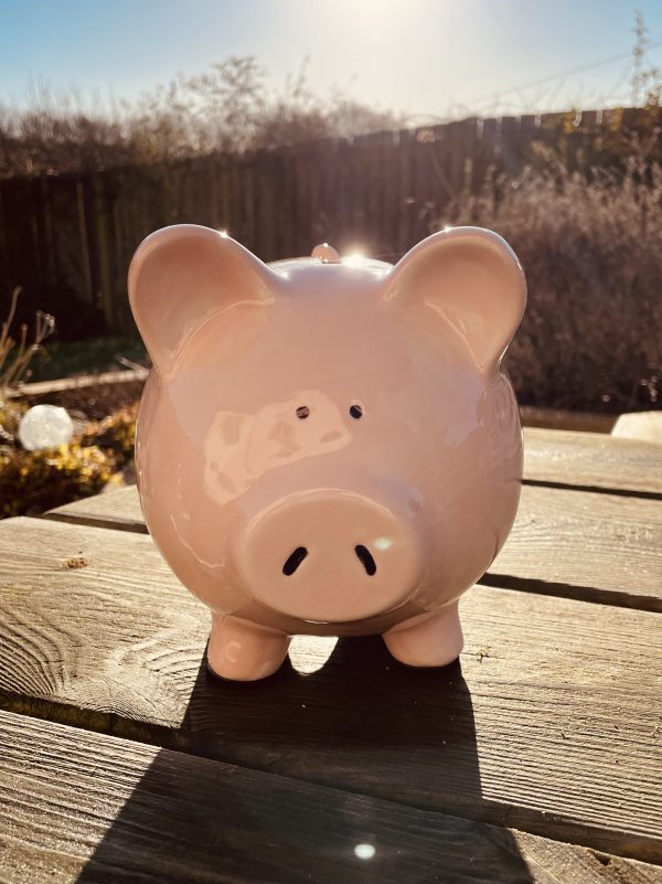 Piggy Bank, Hand Painted, Light Pink, Large, Traditional, Ceramic, Pottery, Gifts for Children, Birthday, Fun - Image 6