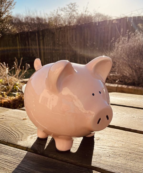 Piggy Bank, Hand Painted, Light Pink, Large, Traditional, Ceramic, Pottery, Gifts for Children, Birthday, Fun - Image 5