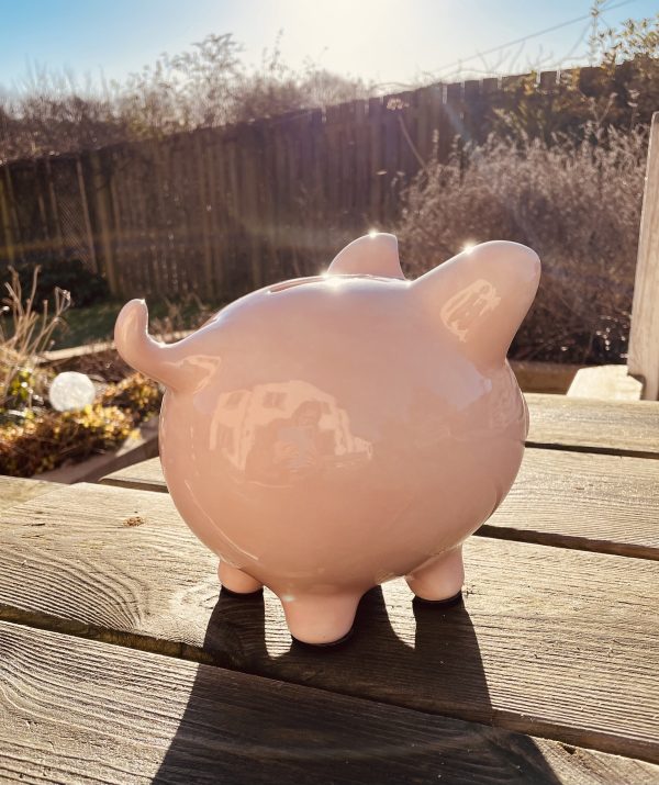 Piggy Bank, Hand Painted, Light Pink, Large, Traditional, Ceramic, Pottery, Gifts for Children, Birthday, Fun - Image 4
