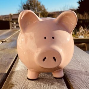 Piggy Bank, Hand Painted, Light Pink, Large, Traditional, Ceramic, Pottery, Gifts for Children, Birthday, Fun