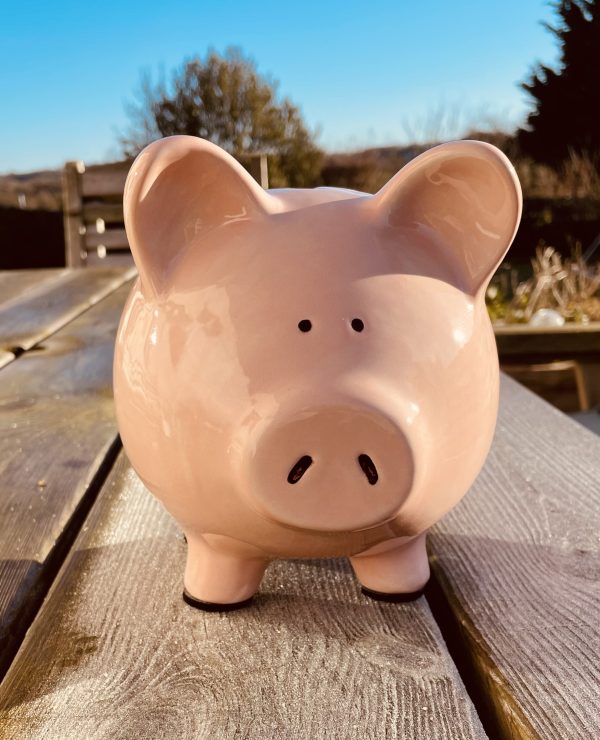 Piggy Bank, Hand Painted, Light Pink, Large, Traditional, Ceramic, Pottery, Gifts for Children, Birthday, Fun
